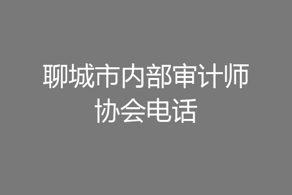 聊城市内部审计师协会电话