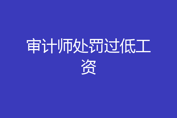 审计师处罚过低工资