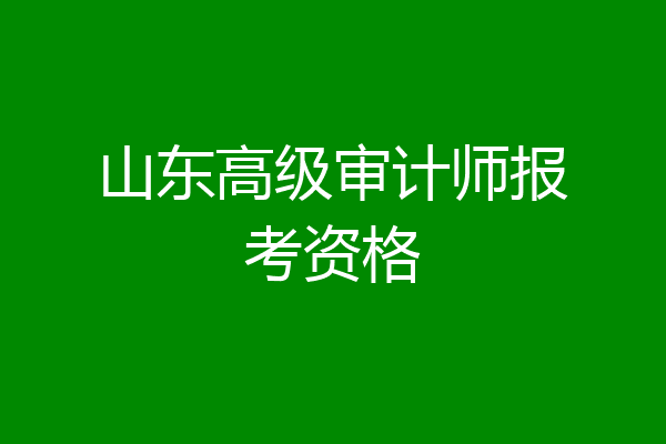 山东高级审计师报考资格