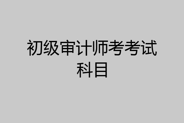 初级审计师考考试科目