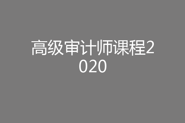 高级审计师课程2020