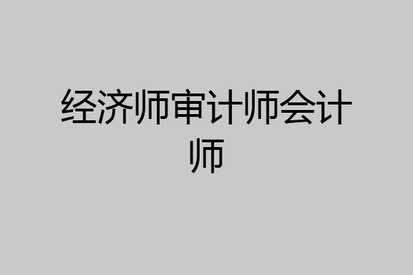 经济师审计师会计师