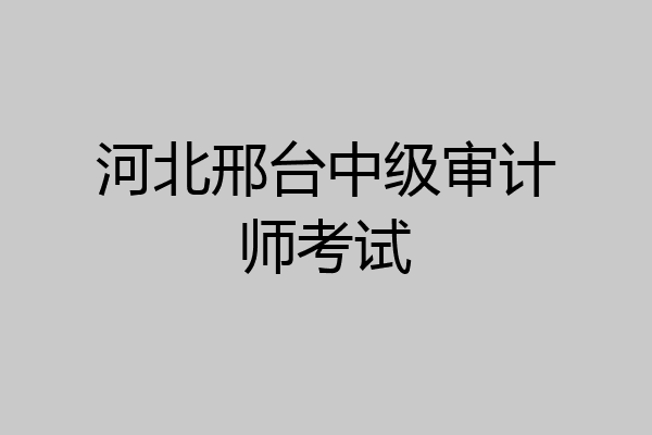 河北邢台中级审计师考试