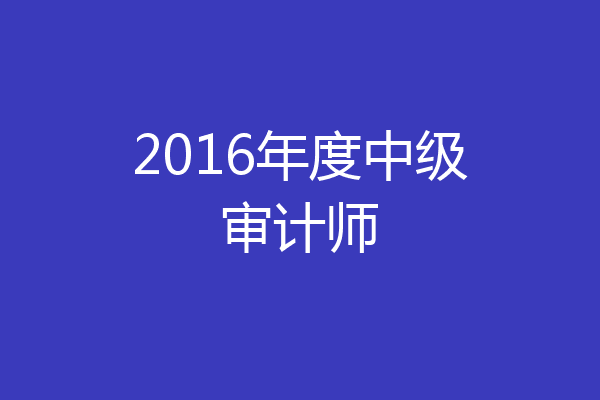 2016年度中级审计师