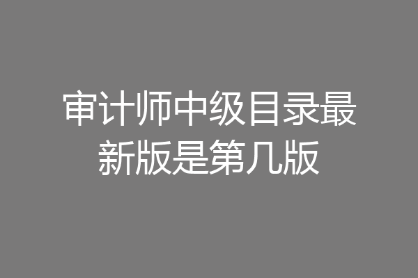 审计师中级目录最新版是第几版