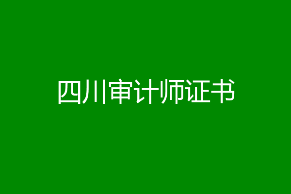 四川审计师证书