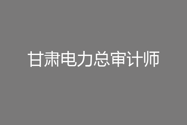 甘肃电力总审计师