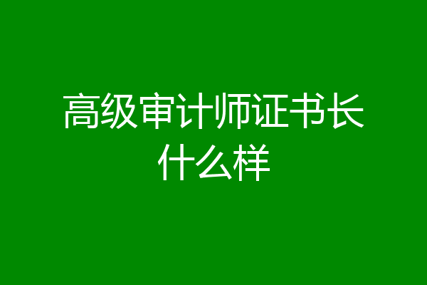高级审计师证书长什么样
