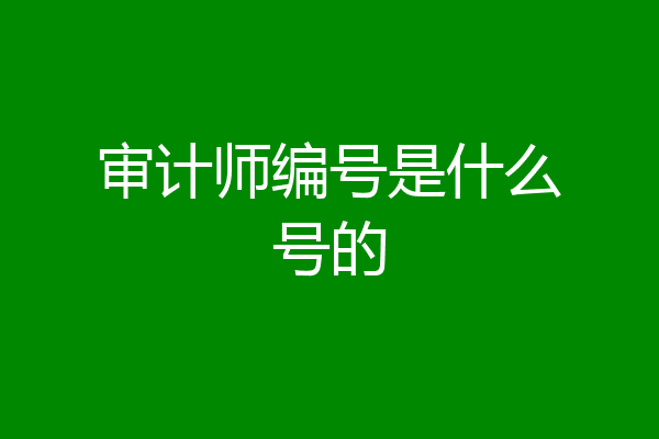 审计师编号是什么号的