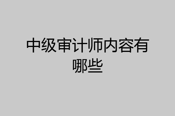 中级审计师内容有哪些