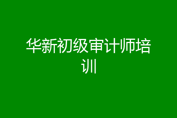 华新初级审计师培训