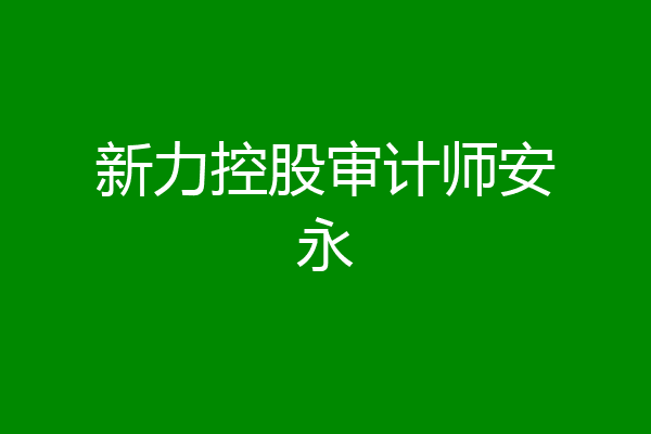 新力控股审计师安永