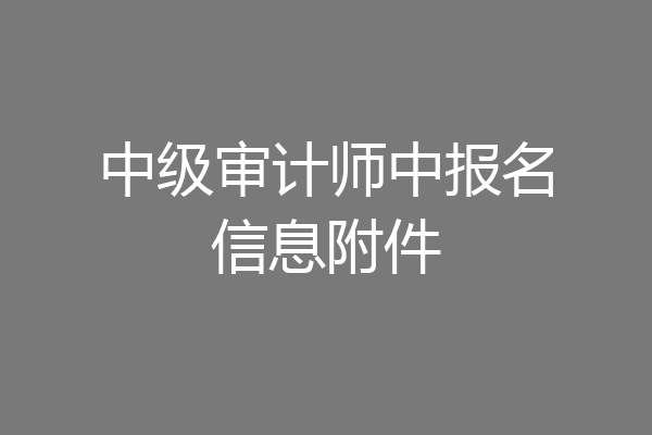 中级审计师中报名信息附件