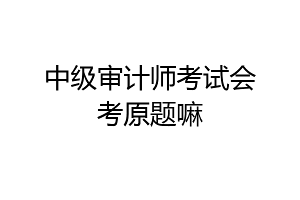 中级审计师考试会考原题嘛