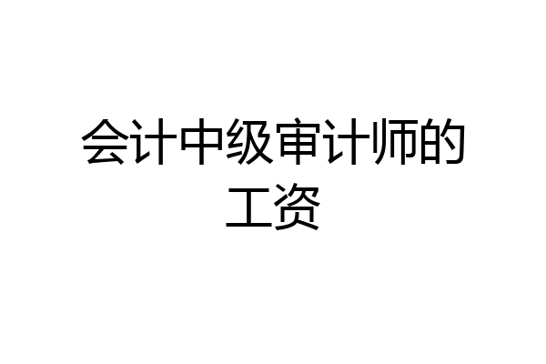 会计中级审计师的工资