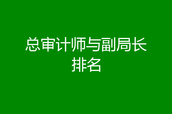 总审计师与副局长排名