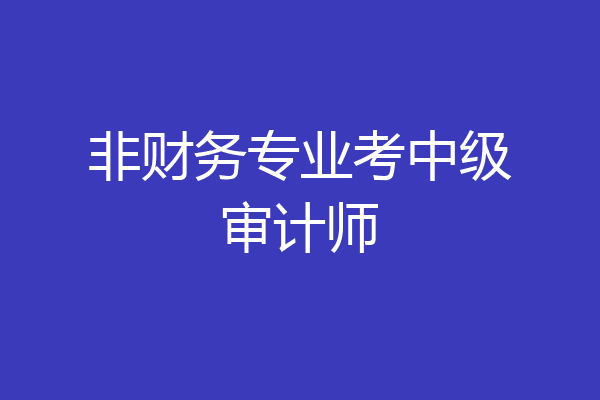 非财务专业考中级审计师