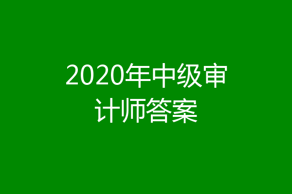 2020年中级审计师答案