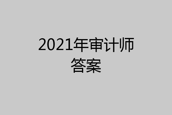 2021年审计师答案