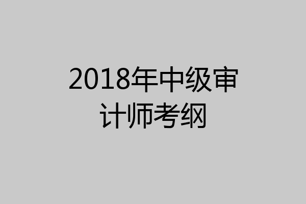 2018年中级审计师考纲