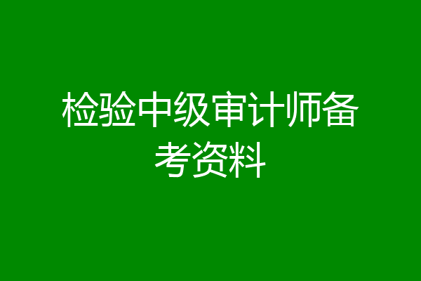 检验中级审计师备考资料