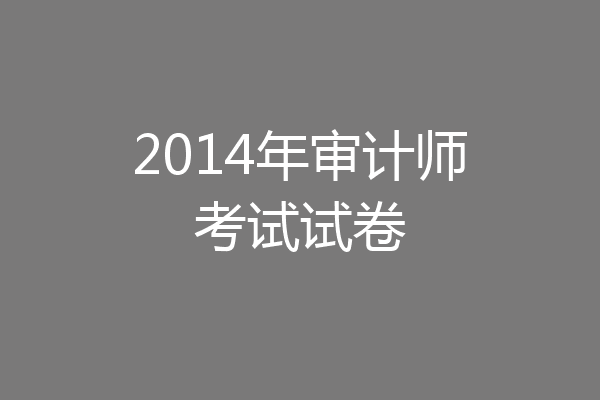 2014年审计师考试试卷