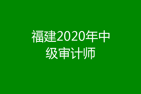 福建2020年中级审计师
