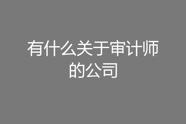 有什么关于审计师的公司