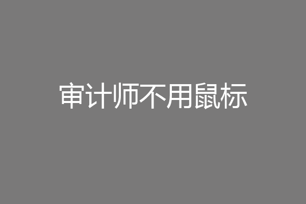 审计师不用鼠标
