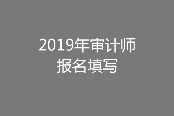 2019年审计师报名填写