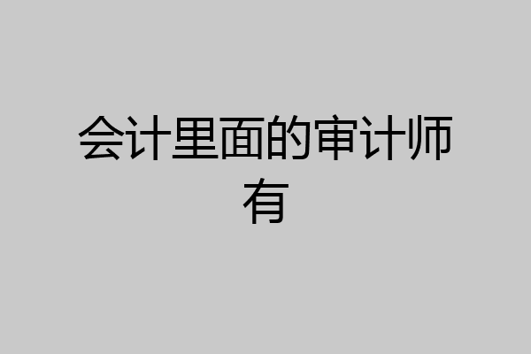 会计里面的审计师有