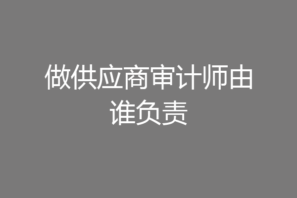 做供应商审计师由谁负责