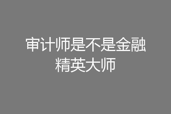 审计师是不是金融精英大师