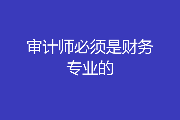 审计师必须是财务专业的