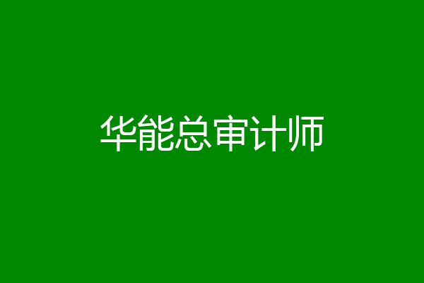 华能总审计师