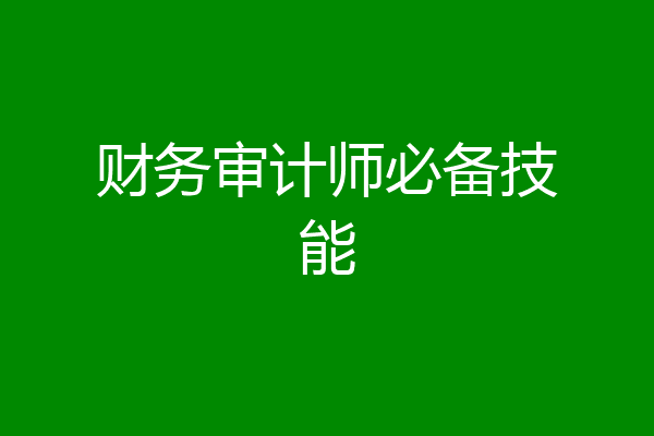 财务审计师必备技能