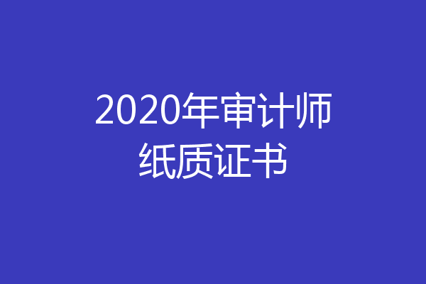 2020年审计师纸质证书