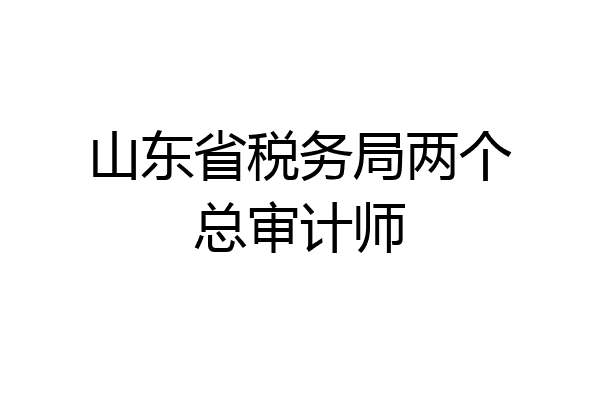 山东省税务局两个总审计师