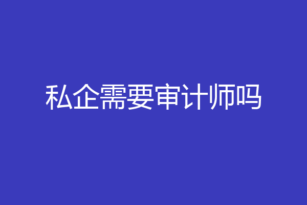 私企需要审计师吗