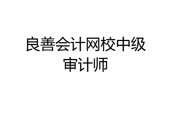良善会计网校中级审计师