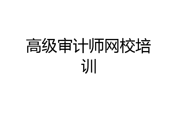 高级审计师网校培训