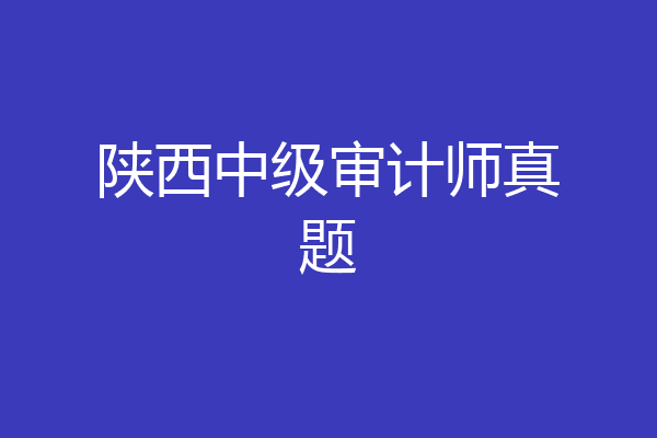 陕西中级审计师真题