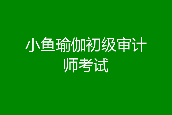 小鱼瑜伽初级审计师考试