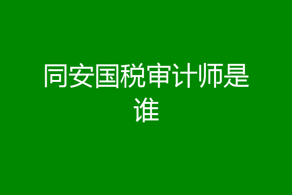 同安国税审计师是谁