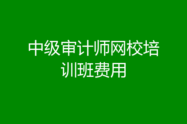 中级审计师网校培训班费用