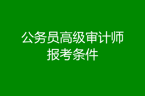 公务员高级审计师报考条件