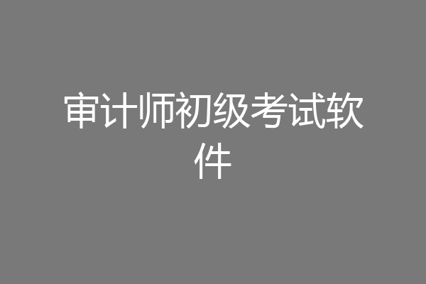 审计师初级考试软件
