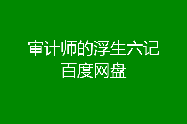 审计师的浮生六记百度网盘