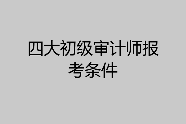 四大初级审计师报考条件