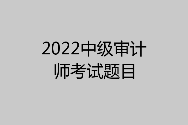 2022中级审计师考试题目